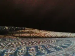 Amateur Live Porn of ojosgatomadrid1