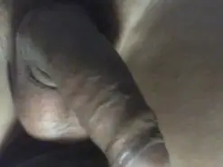Amateur Sex Chat of RocheFan