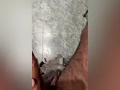 Amateur Watch Live Sex Cams of Quimytepone