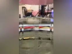 Amateur Adult Webcam of Salchijohny