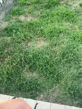 Cam4 Free Live Porn of Nolino20
