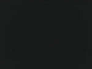 Cam4 Live Sex Cam of black_dick_hot
