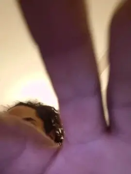 Cam4 Live Sex Cam of ect_or