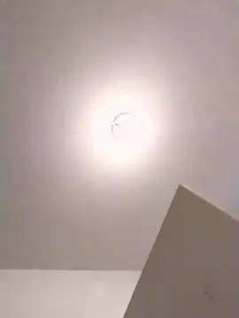 Cam4 Live Porn of dan666mex