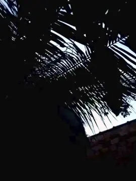 Cam4 Private Sex Chat of Alisonjuenendun