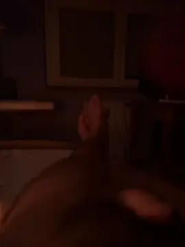 Cam4 Nude Webcam of TigerManEero