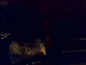 Cam4 Sex Chat of seks4u