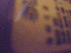 Cam4 Free Live Porn of Don_chaquetas