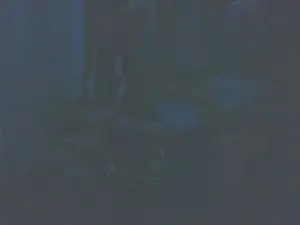Cam4 Live Sex of boost2469