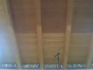 Cam4 Sex Cam of shaggyvery