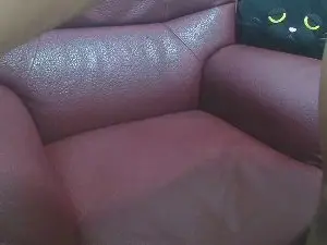Cam4 Free Porn Cam of likebesucked
