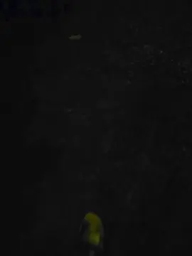 Cam4 Private Sex Chat of Putin2026