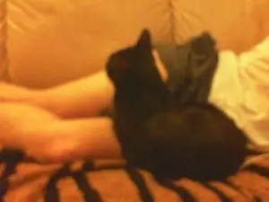 Cam4 Best live sex cam show of curlykiller9