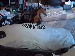 Cam4 Adult Webcam of Ptitzizi70