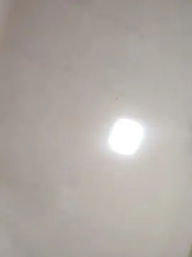 Cam4 Sex Cam of Fenixxzzzxx