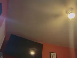 Cam4 Sex Cam of Bearchub300