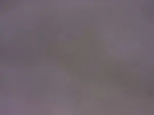 Cam4 Nude Webcam of singolare1