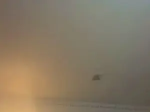 Cam4 Sex Cam of SalemORCumDump