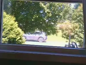 Cam4 Free Porn Cam of mapleman35