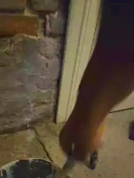 Cam4 Free Live Porn of likescock5