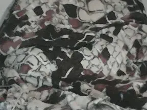 Cam4 Live Porn of BigCico