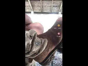 Cam4 Nude Webcam of Countryjoe2002