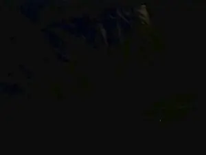 Cam4 Live Sex of leaveitinsideme