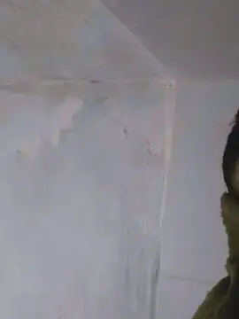 Cam4 Free Live Porn of Shuelldin22