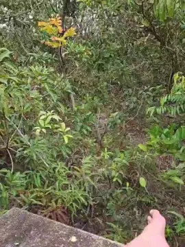 Cam4 Live Porn of lessvent