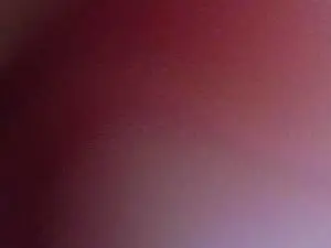 Cam4 Adult Video Chat of Gapermaker