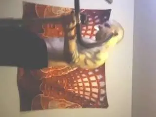 Camsoda Watch Live Sex Cams of shadowvmyers