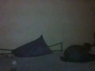 Camsoda Watch Live Sex Cams of ima-grower-anda-cumexploder