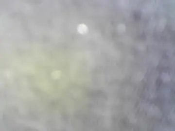Chaturbate Free Porn Cam of felicaste