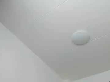Chaturbate Private Sex Chat of 200gentleman