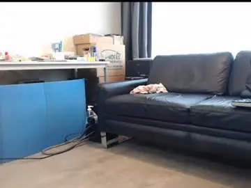 Chaturbate Adult Webcams of porncock79