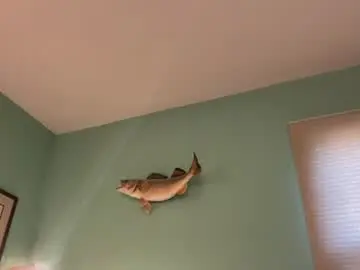 Chaturbate Live Sex Cam of thejuan198