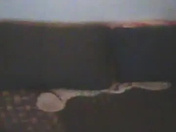 Chaturbate Free Live Porn of smi35