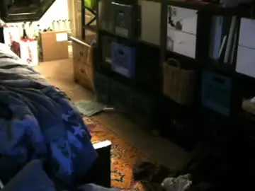 Chaturbate Adult Webcams of jimmystippp