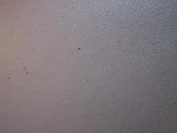Chaturbate Free Live Porn of your_king_of_hearts