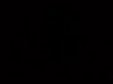Chaturbate Adult Webcam of blackcock8383