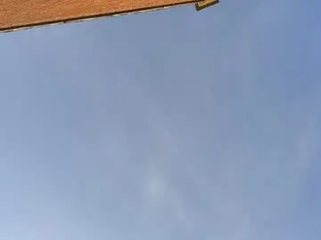 Chaturbate Free Porn Cam of hornyfortgirl