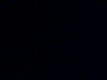 Chaturbate Live Porn of phil55q