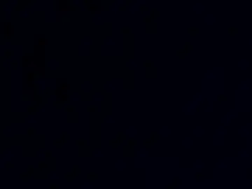 Chaturbate Sex Cam of phil55q