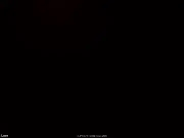 Chaturbate Adult Webcam of intellitease