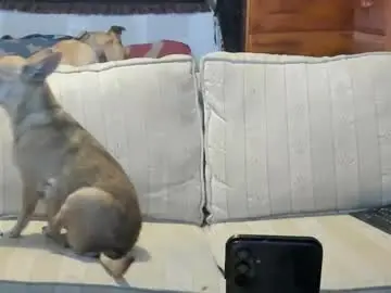 Chaturbate Private Sex Chat of jay_short7863