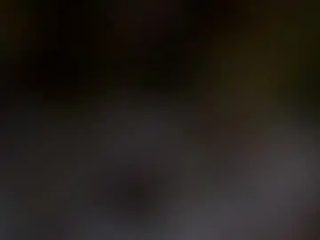 Chaturbate Adult Webcam of hellohowareyou66