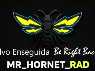 Chaturbate Sex Chat of mr_hornet_rad