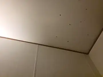 Stripchat Live Porn of Xoc8_