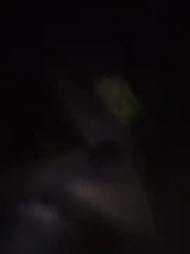 Stripchat Sex Cam of tripexnte