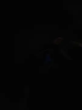 Stripchat Adult Webcam of BlackD4uxo